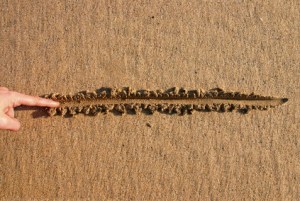 Drawing a line in the sand.  An old metaphor.